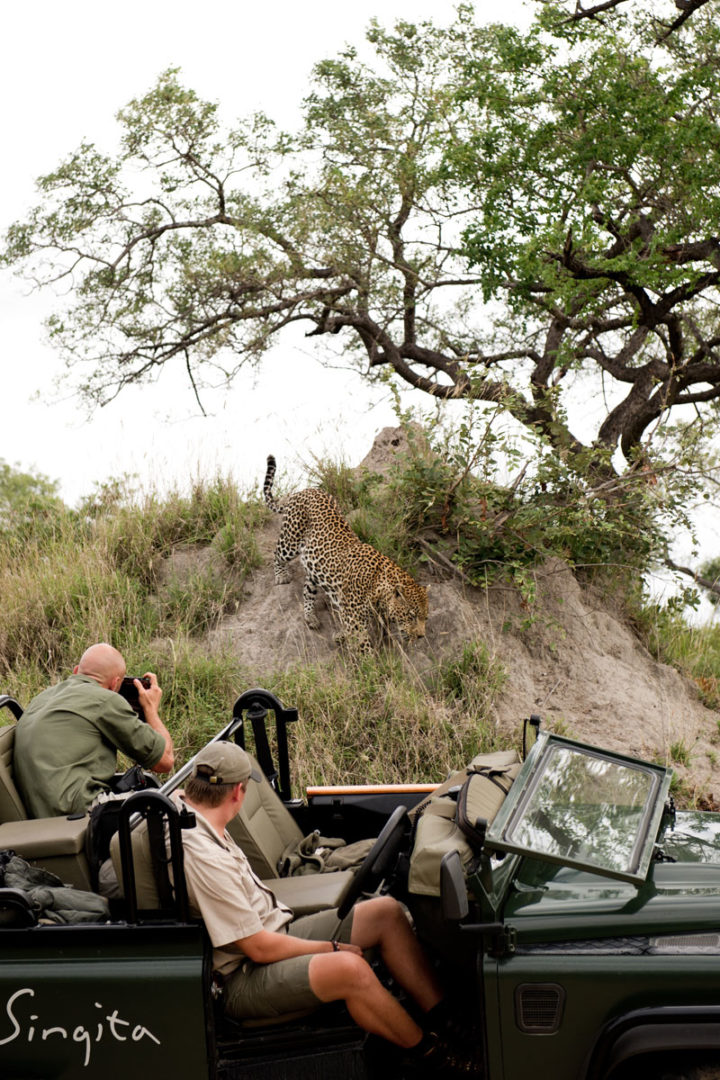 getting close to a leopard on a photo safari in Africa